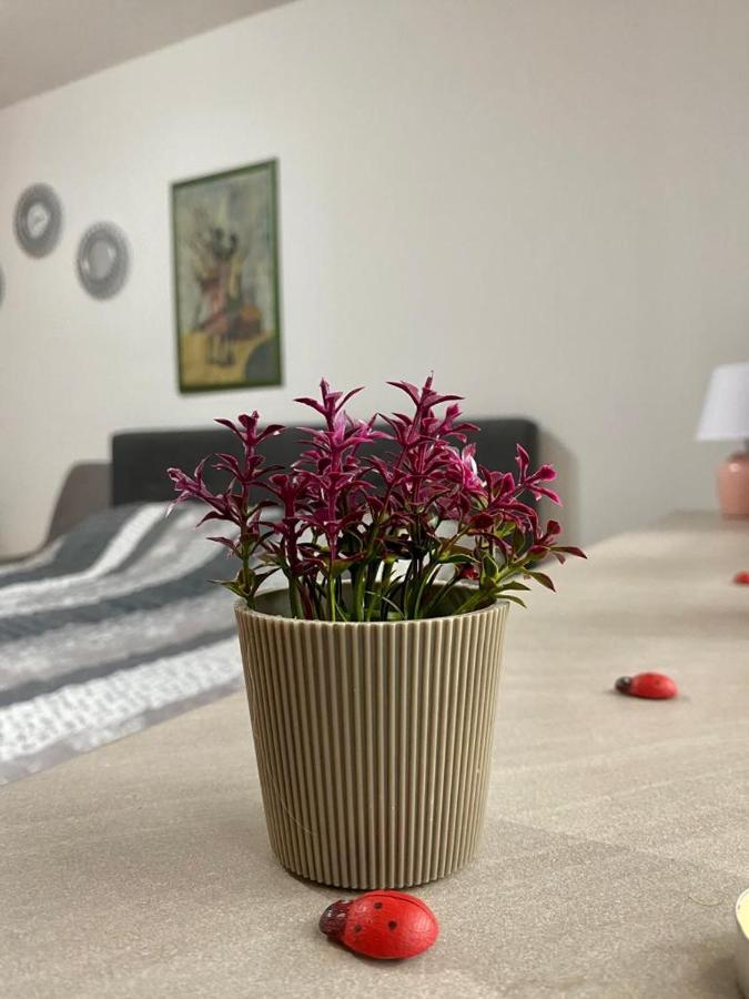 Cozy Apartment Ladybug, Сараево Экстерьер фото